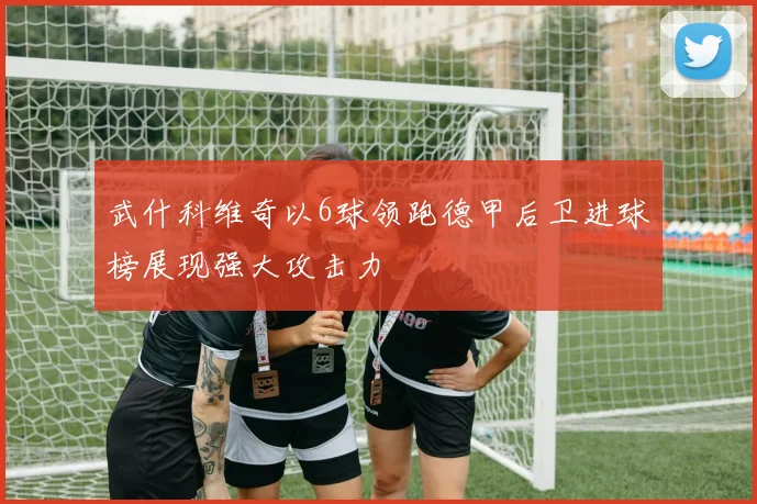 武什科维奇以6球领跑德甲后卫进球榜展现强大攻击力